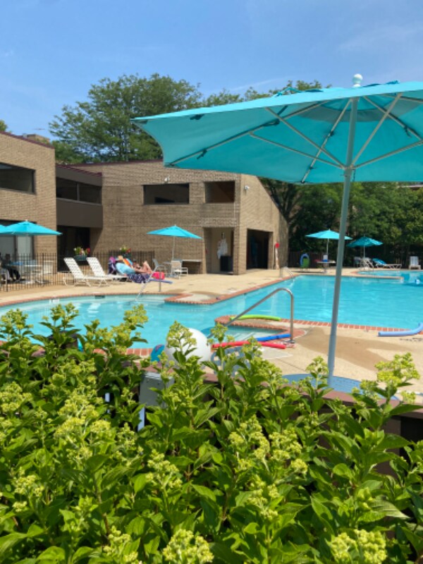 805 N Howard St Unit 432, Alexandria, VA 22304 Condo for Rent in