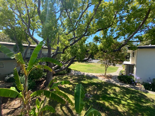 Building Photo - 14225 Lora Dr
