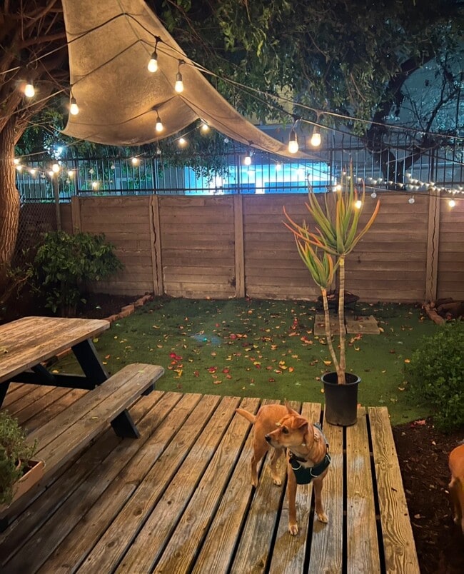 Private backyard - 2215 Carmona Ave