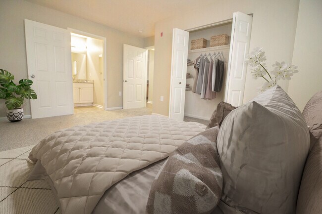 Dormitorios espaciosos - The Pointe at Canton Apartments