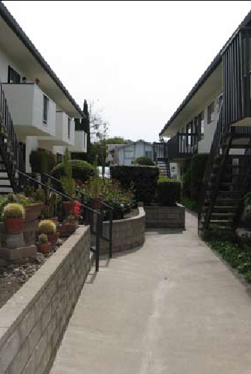 Courtyard - Amberwood Apartments