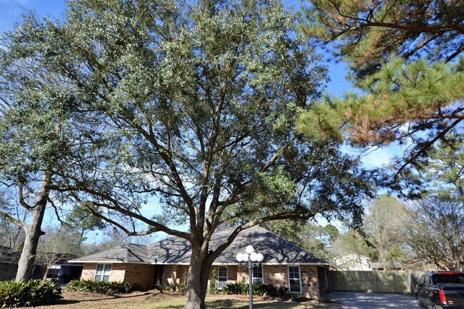 Building Photo - Beautiful Remodeled 3 Bedroom Home in Zach...