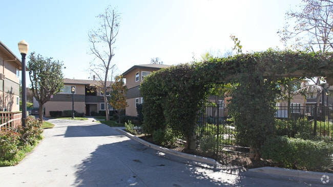 Primary Photo - Elmwood Focus