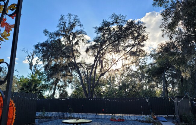 Building Photo - 5319 NE 29th St