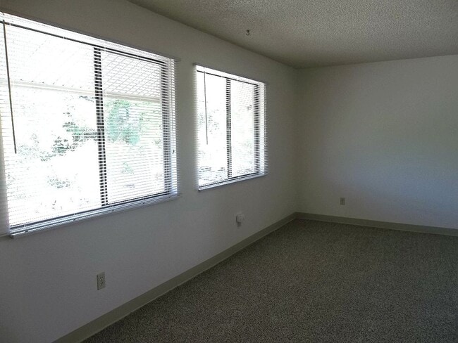 Building Photo - Top Floor 1 Bedroom Condo Near CSU