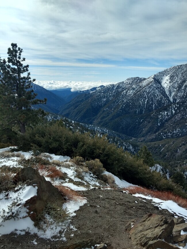 1357 Ross St, Wrightwood, CA 92397 House Rental in Wrightwood, CA