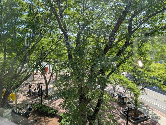Foto del edificio - 37 Davis Sq