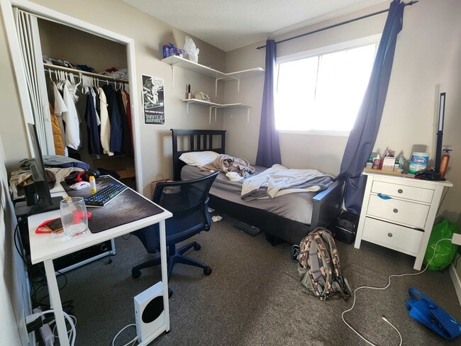 Photo du bâtiment - 46 Collingwood St