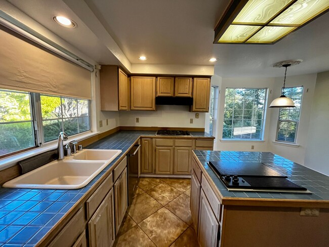 Building Photo - 4 Bedroom, 3 Car Garage Home in CK School ...