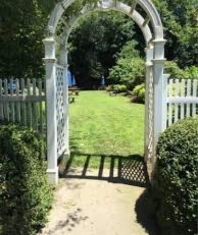 Zona de picnic y barbacoa - 412 Benedict Ave