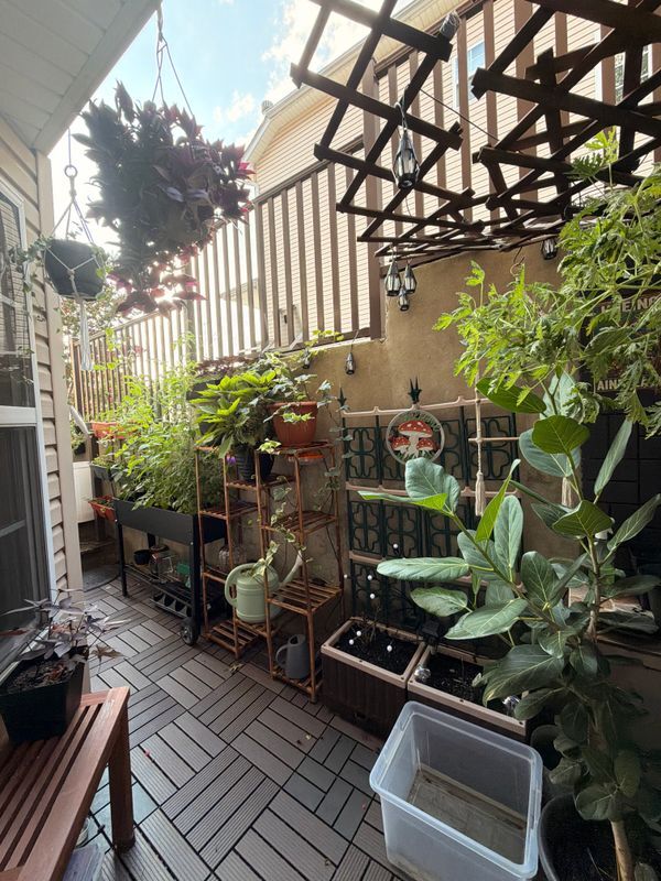 Foto del edificio - 51 Foothill Ct