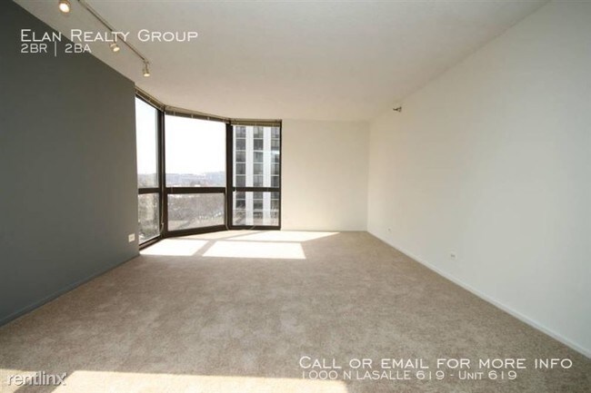 Building Photo - 1000 N LaSalle (1000 N LASALLE 619)