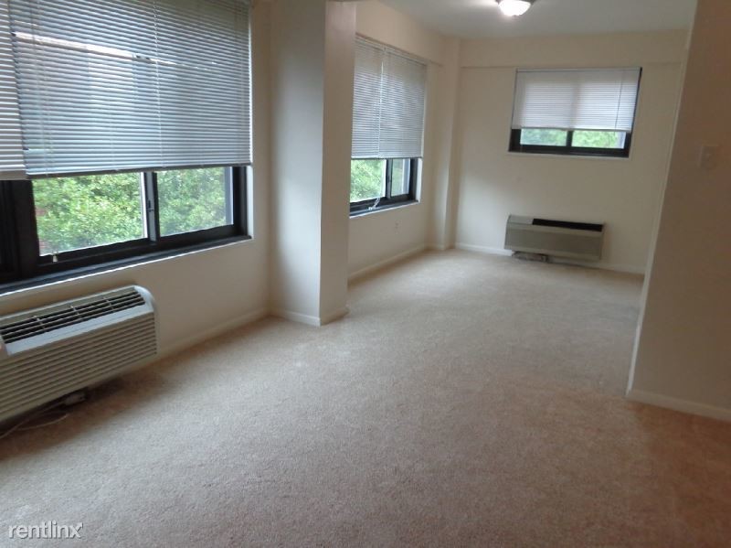Primary Photo - 1 br, 1 bath Condo - 846 N Madison St