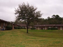 Foto principal - Sugar Mill Woods