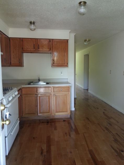 Kitchen and Hallway - Read Street Apartments