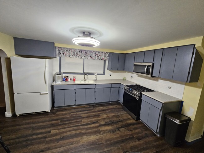 Newly remodeled kitchen - 1242 W 32nd St