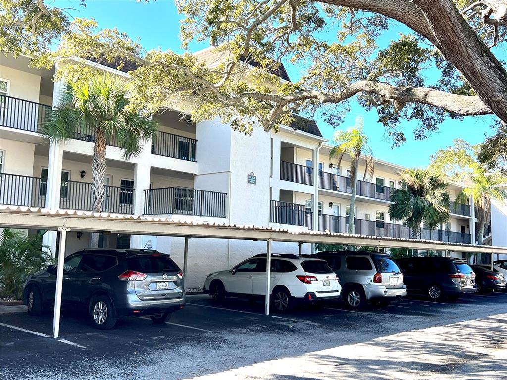 871 New York Ave Unit 206, Dunedin, FL 34698 Condo for Rent in