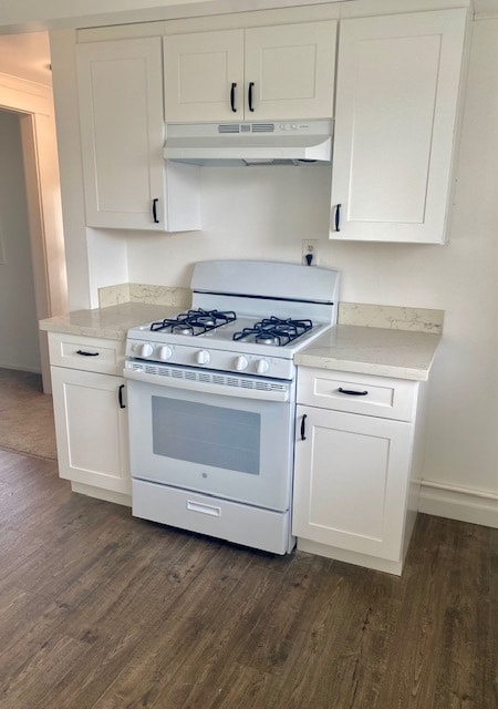 Stove and cooking area - 1116 Dean Ave