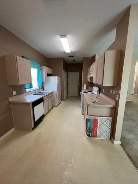 Foto del edificio - 5109 Innesbrook Ct