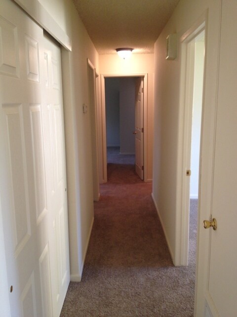 Foto del edificio - Recently Remodeled Four Bedroom Rosemont Home with Large Backyard!