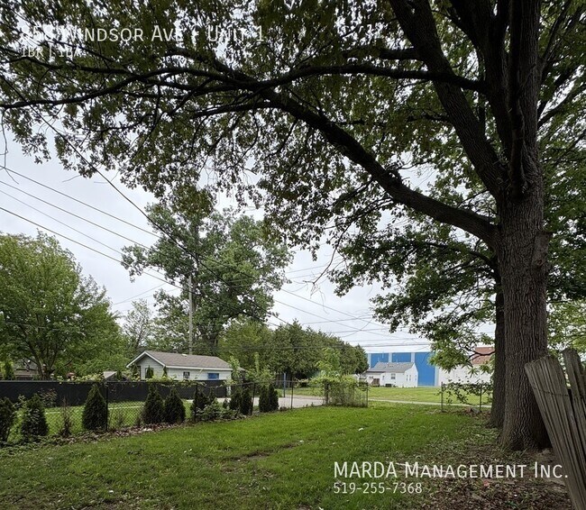 Photo du bâtiment - COZY 1 BED/1 BATH DOWNTOWN WINDSOR + GAS