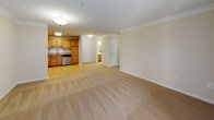 Located at 14431 Travelled Garden Cir in Rockville, Maryland, this single-floor apartment offers a thoughtfully designed layout with a warm, neutral color palette throughout. The open-concept living area is generously sized, featuring plush wall-to-wall carpeting and crown molding that adds a refined touch to the space. It flows seamlessly into the kitchen, which is outfitted with rich oak cabinetry, granite countertops, a stainless steel gas range, microwave, dishwasher, and refrigerator, all set atop durable wood-look flooring. The unit includes multiple well-proportioned bedrooms, each carpeted and filled with natural light from windows that overlook the surrounding greenery. The primary suite features a spacious walk-in closet with wire shelving for ample storage. Two full bathrooms serve the unit — one featuring a tub-shower combination and the other a walk-in shower with grab bars, both finished with wood-look flooring and oak vanities. The accessible design elements, including grab bars in the bathroom, make this unit especially accommodating. The overall ambiance is clean, bright, and move-in ready.