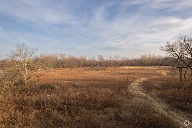 Watersmeet Woods is a great place for a hike in Northfield.