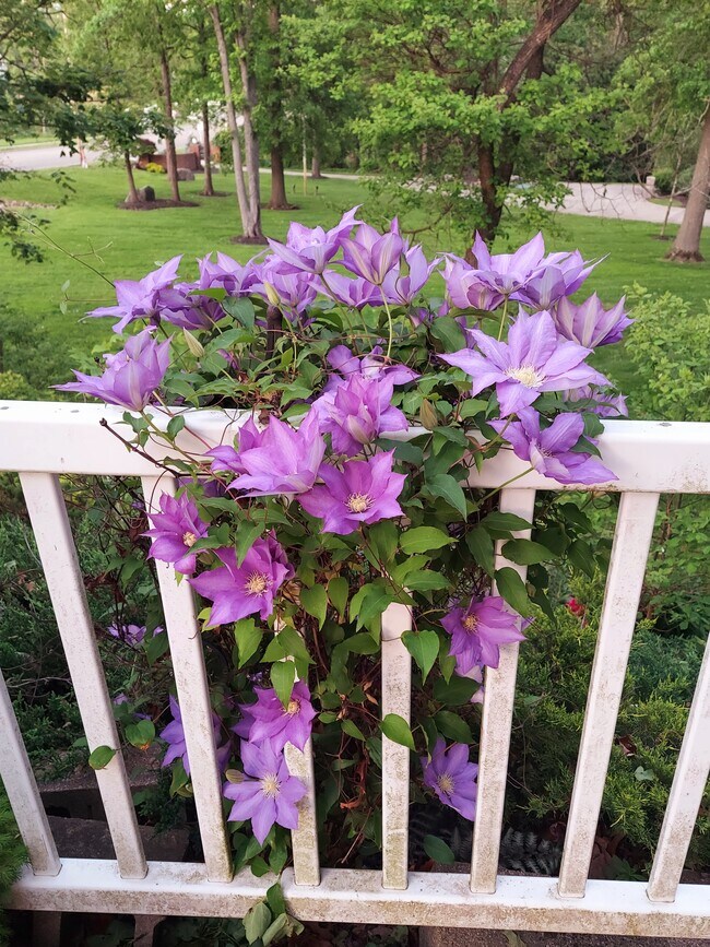 Foto del edificio - 1248 Boettler Rd