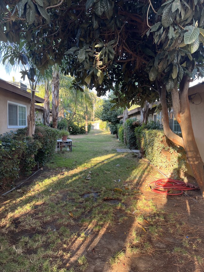 Grassy garden style backyard - 224 Sequoia Dr