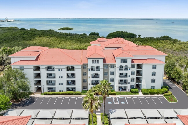 Building Photo - Casa Bella on Westshore
