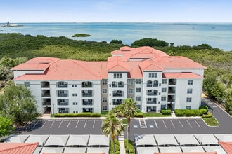 Building Photo - Casa Bella on Westshore