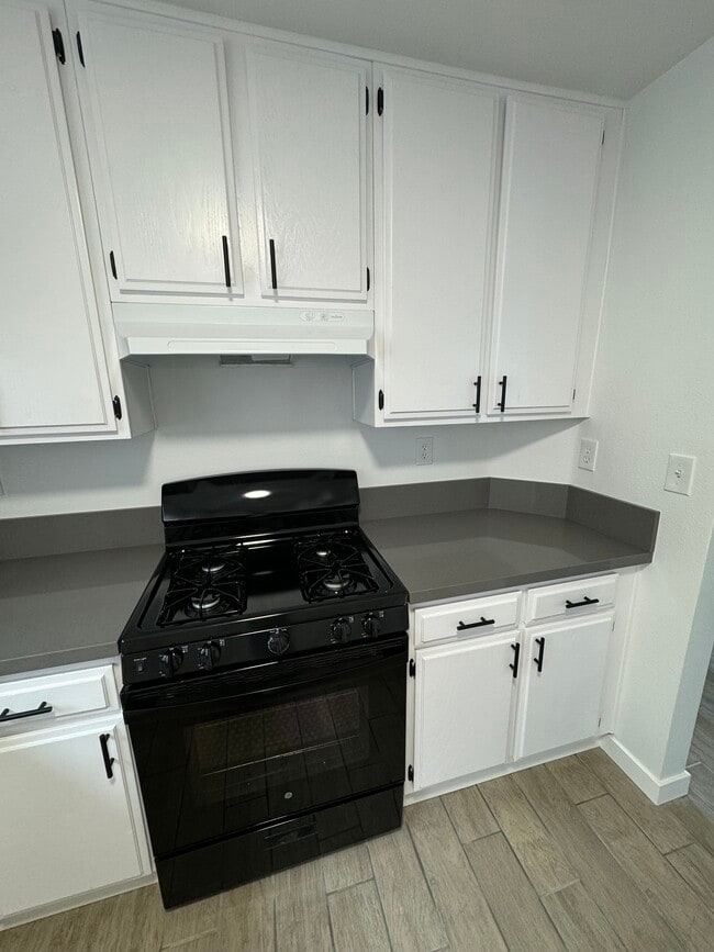 Building Photo - 366 Samsara Ct