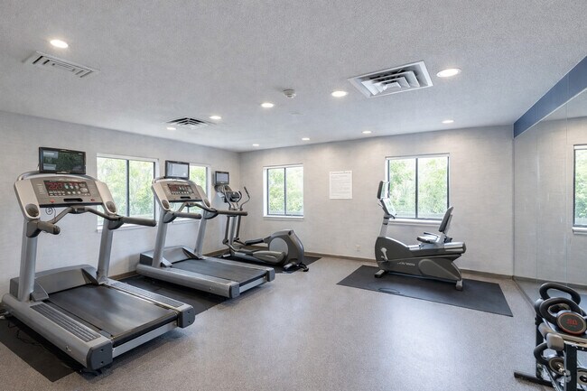 Gimnasia - The Haven at Eagandale