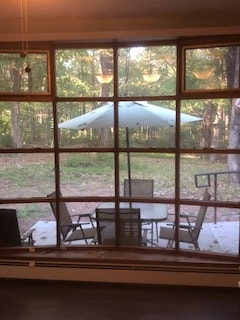 Back yard - 545 River Rd