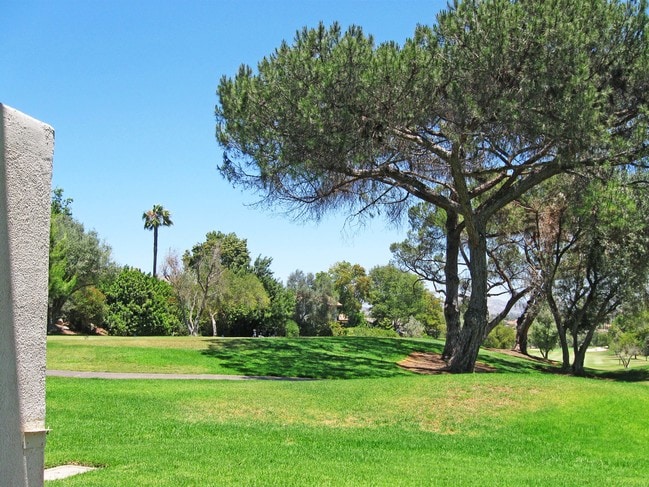 View from Patio - 17087 Bernardo Center Dr