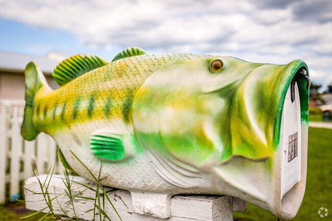 A unique, big fish styled mailbox in the city of Palm Bay.