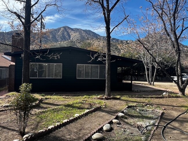 Building Photo - 367 Sirretta St