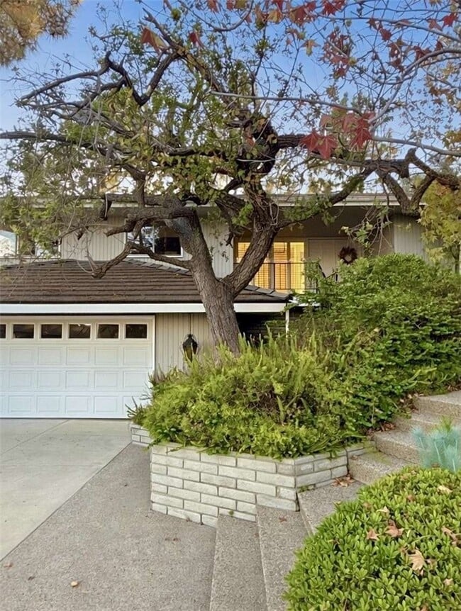 Building Photo - 490 Starlight Crest Dr