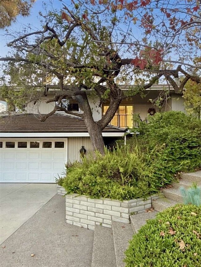 Foto del edificio - 490 Starlight Crest Dr