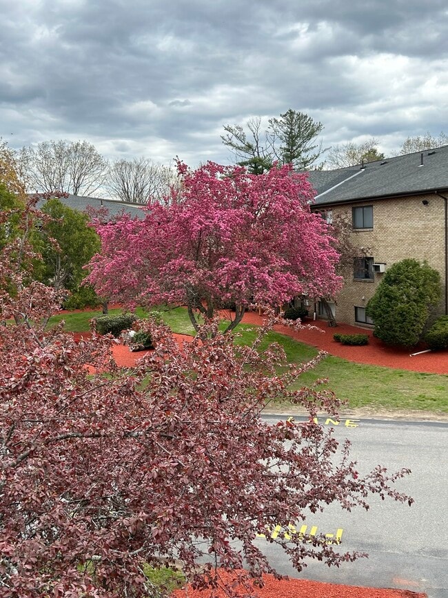 Building Photo - 1 Lancelot Court