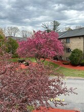 Building Photo - 1 Lancelot Court