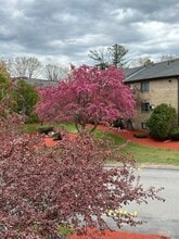 Building Photo - 1 Lancelot Court