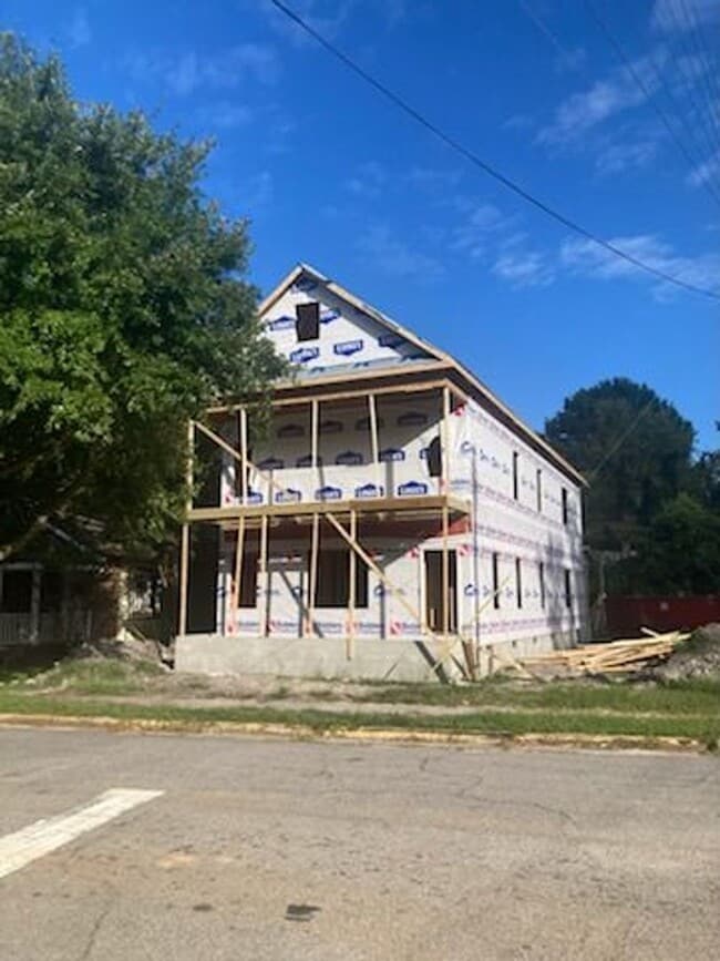 Building Photo - Brand New Duplex in The Amazing Old Shando...