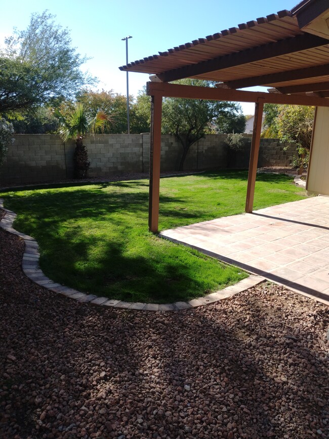 Rear yard - 1513 W Jacinto Ave