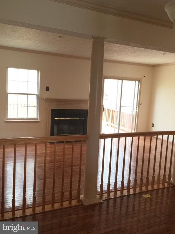 Building Photo - 9324 Daly Ct