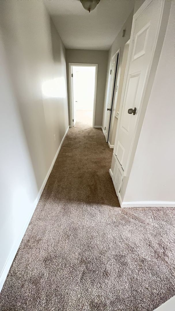 Foto del edificio - Charming 2 Bedroom Home in Memphis