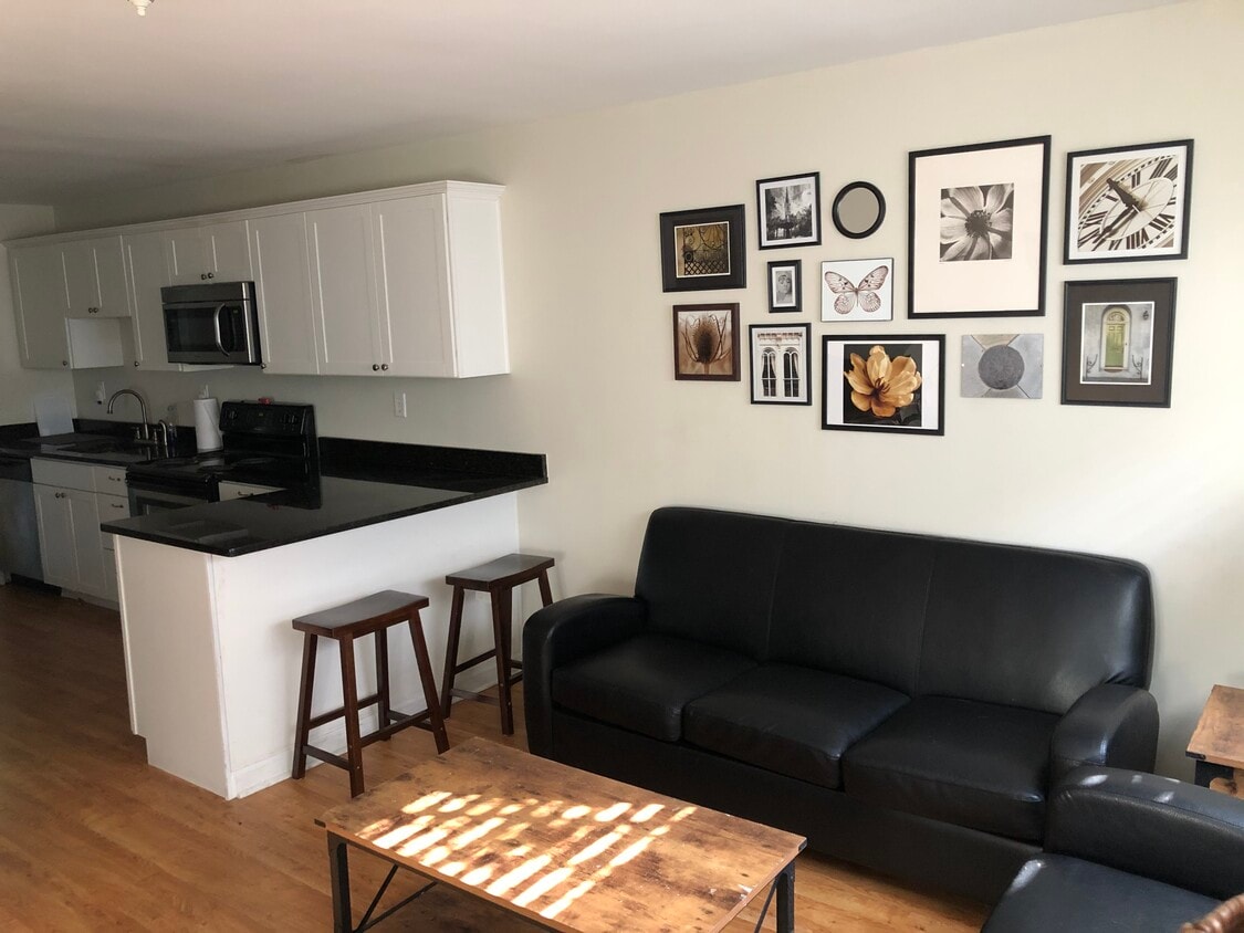 fully furnished - 19 Amherst St