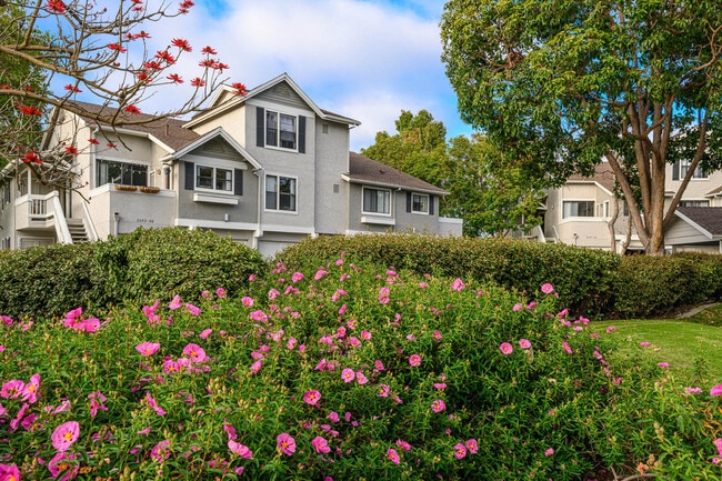 Foto del edificio - Flower Fields