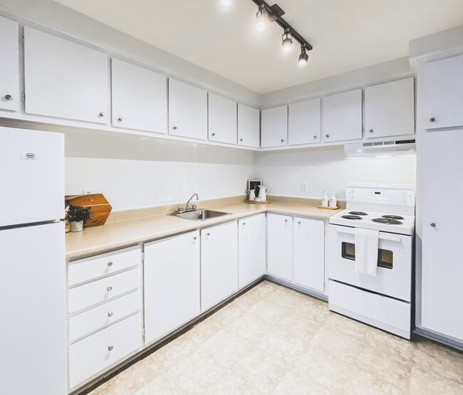 Photo du bâtiment - Torbay Road Apartments