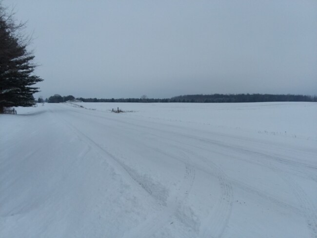 Foto del edificio - 5732 E Grass Lake Rd